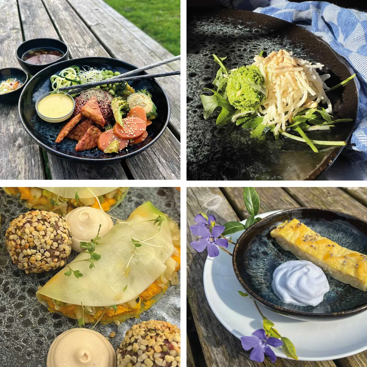G food-concept-The-Land-of-Taste-1