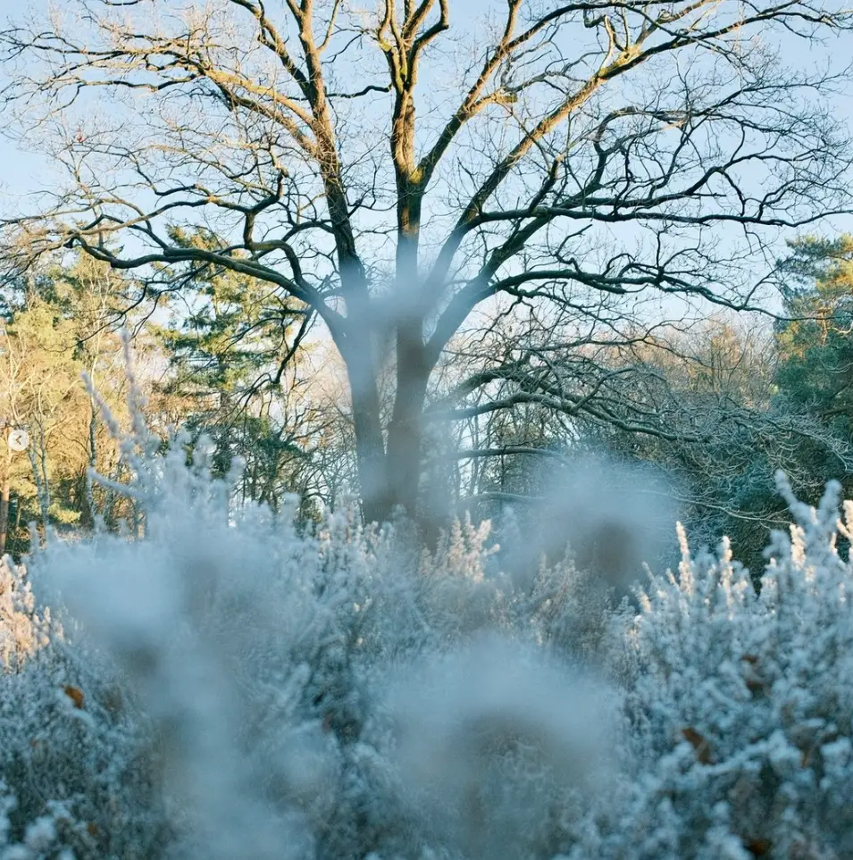 retraite winter