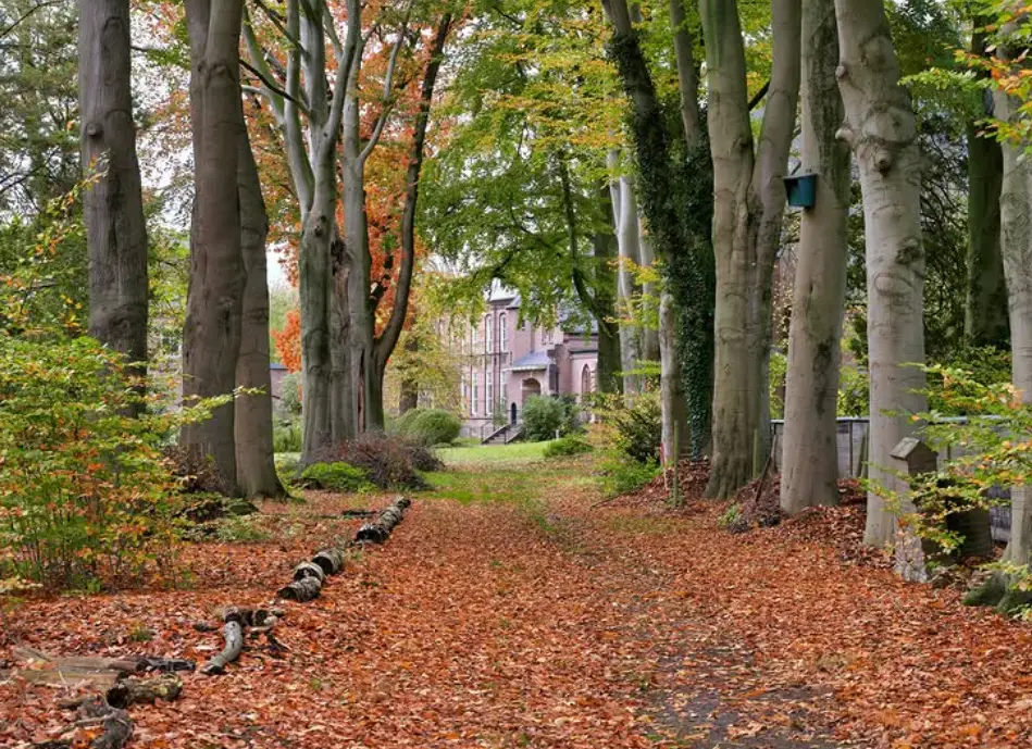 Nieuw Sion herfst