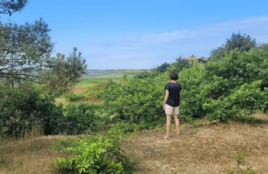 Uitzicht vlieland retraite