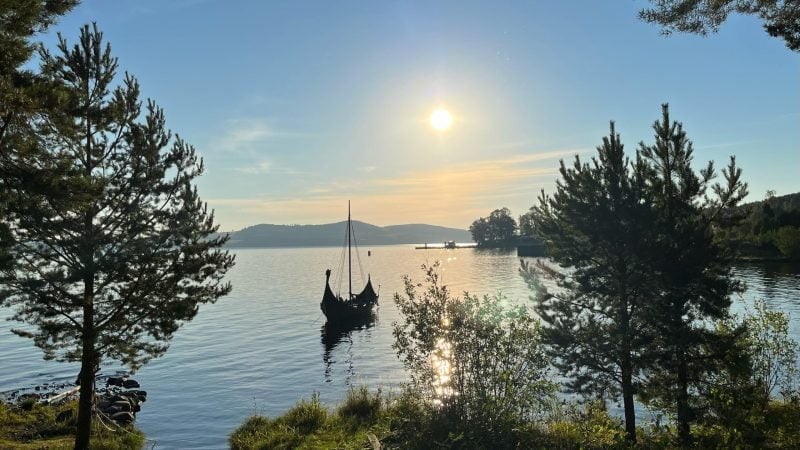 5. vikingschip
