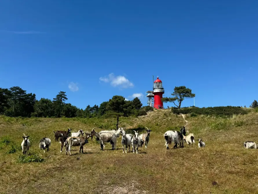 retraite vlieland