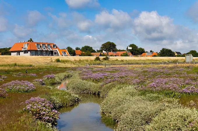 4-Daagse Vlieland Retraite – ‘Ontspanning & Beweging’