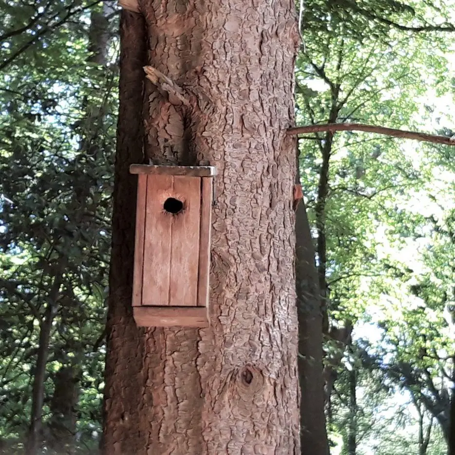 20190630_131515-1-e1562602188907-aspect-ratio-530-530