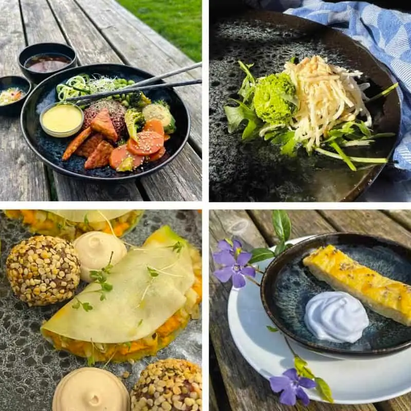plant-based-ayurvedic-food-concept-The-land-of-Taste-Groningen-1-800x800-1