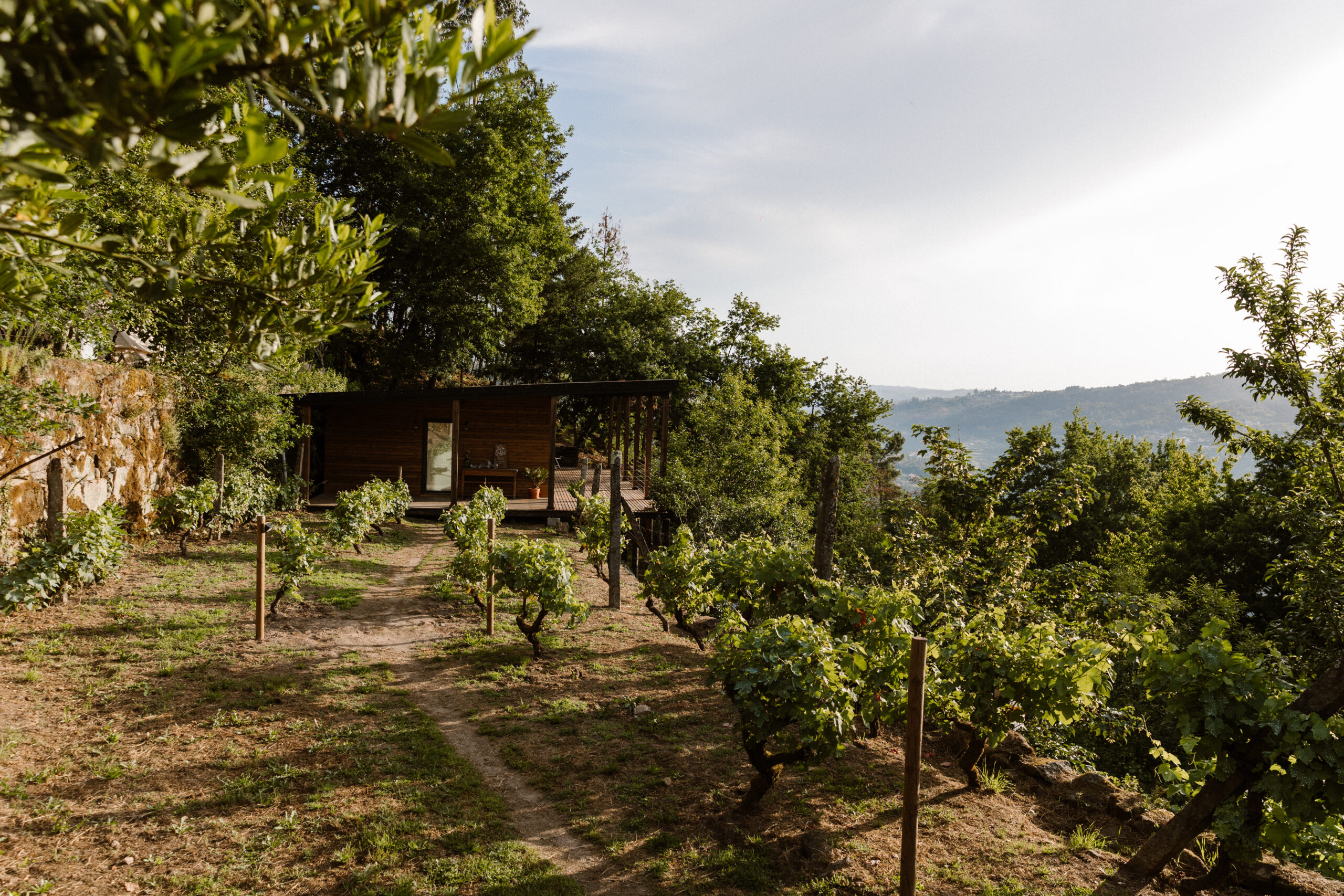 Deveza Locatie-17